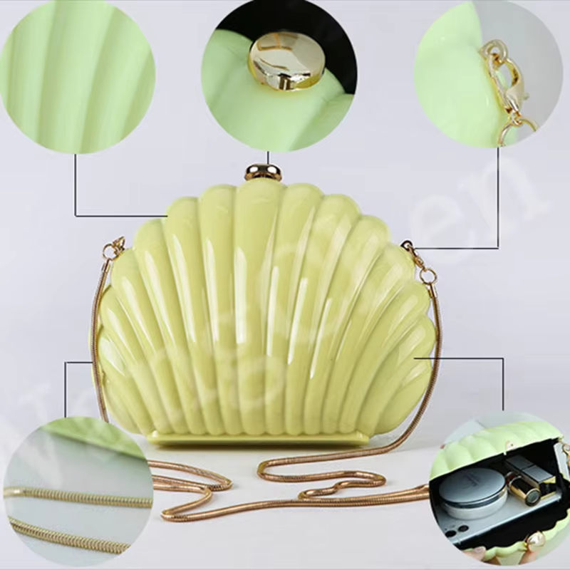 Lady Mini Shell Bag Acrylic Hi - Luxury Bags Mini 评论和价格