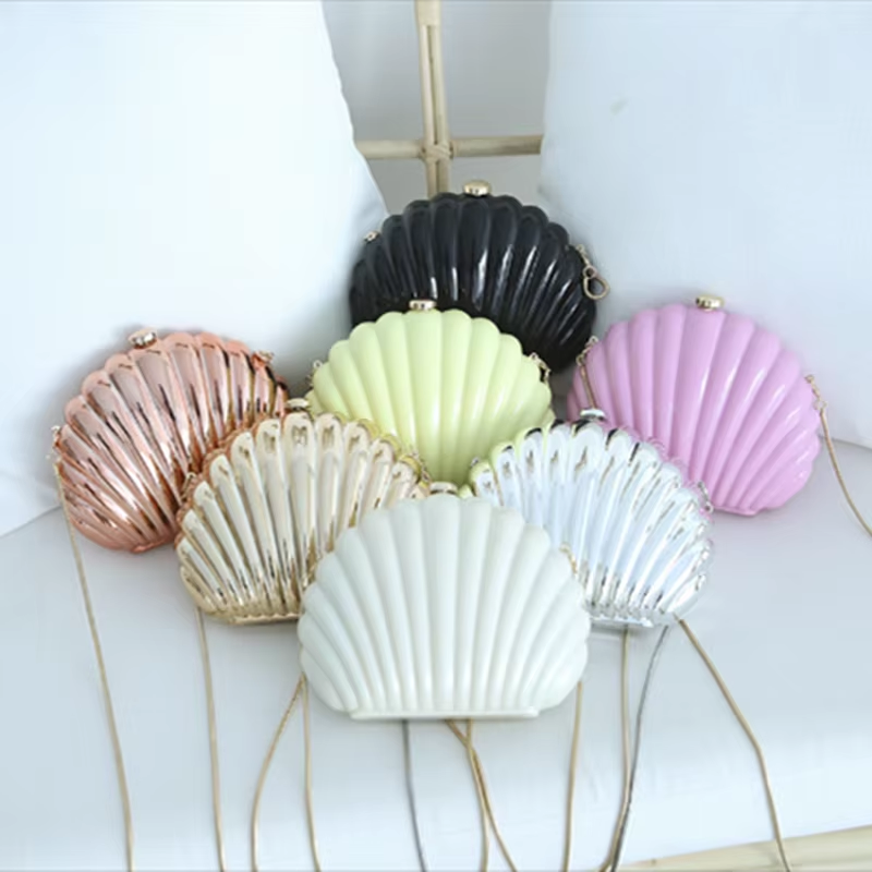Lady Mini Shell Bag Acrylic Hi - Luxury Bags Mini 评论和价格