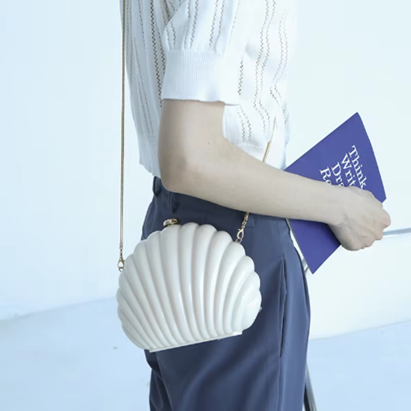 Lady Mini Shell Bag Acrylic Hi - Luxury Bags Mini 评论和价格